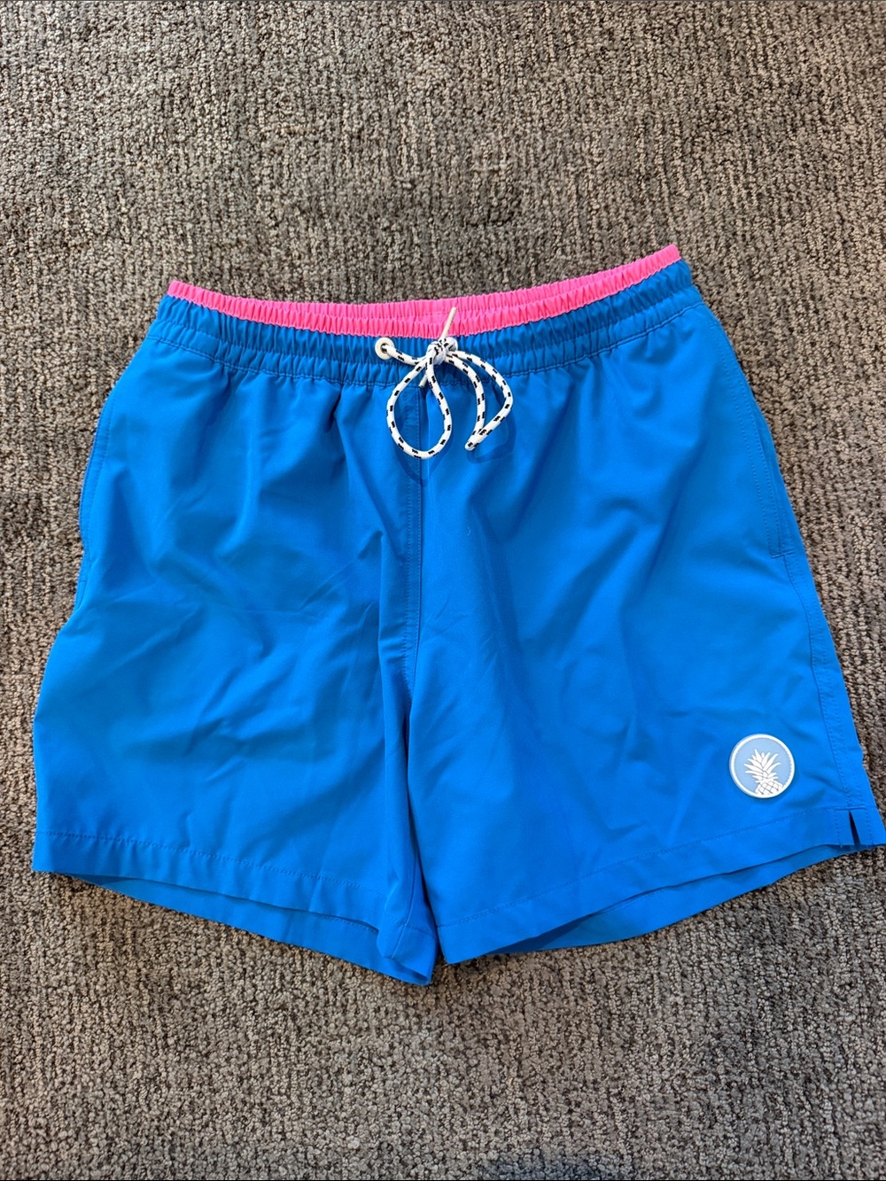 Chubbies Classic Swim Trunk 5.5”